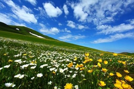 【全景南疆】8日游